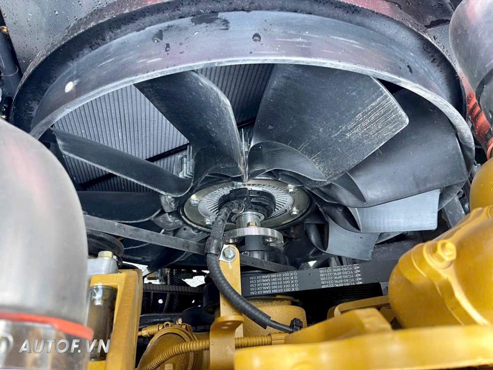 385HP/quat_ly_tam_dau